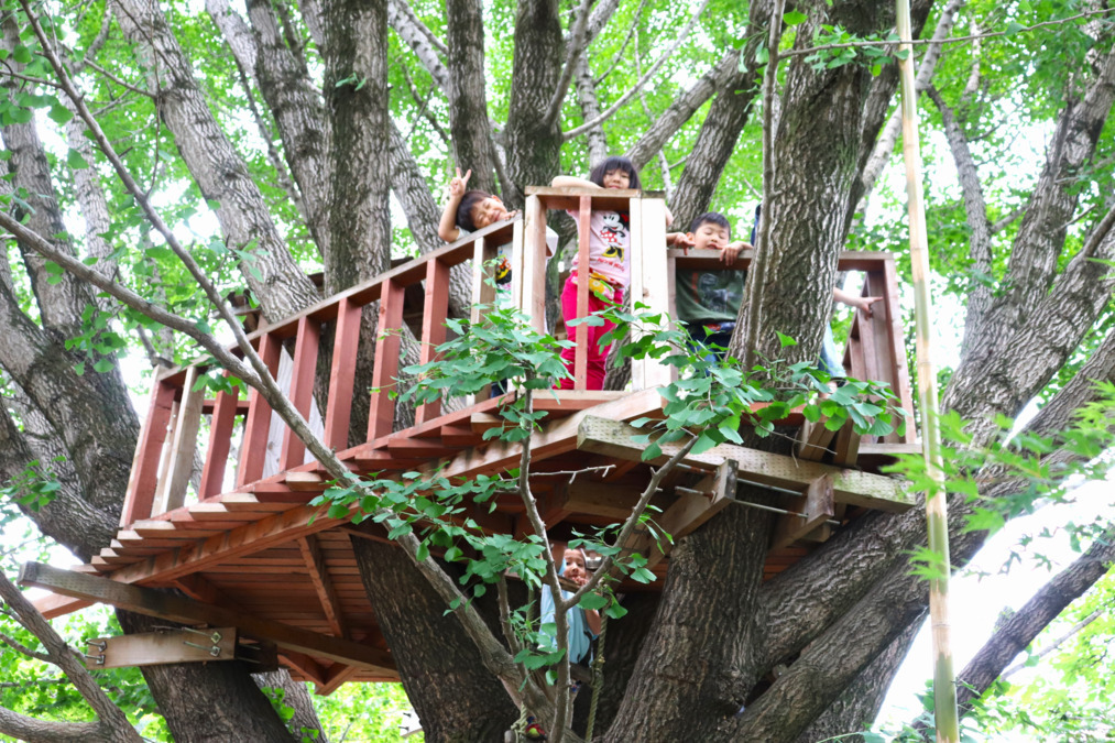 木の実幼稚園（保育士の求人）の写真2枚目：ツリーハウス