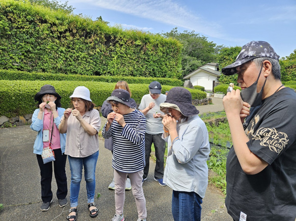 GRASP(グラスプ) aoba横浜北部(介護タクシー/ドライバーの求人)の写真4枚目:日々のお散歩風景。皆で草笛にチャレンジ