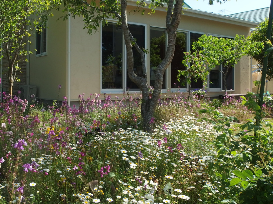 デイサービスさんぽ道(介護職/ヘルパーの求人)の写真2枚目: