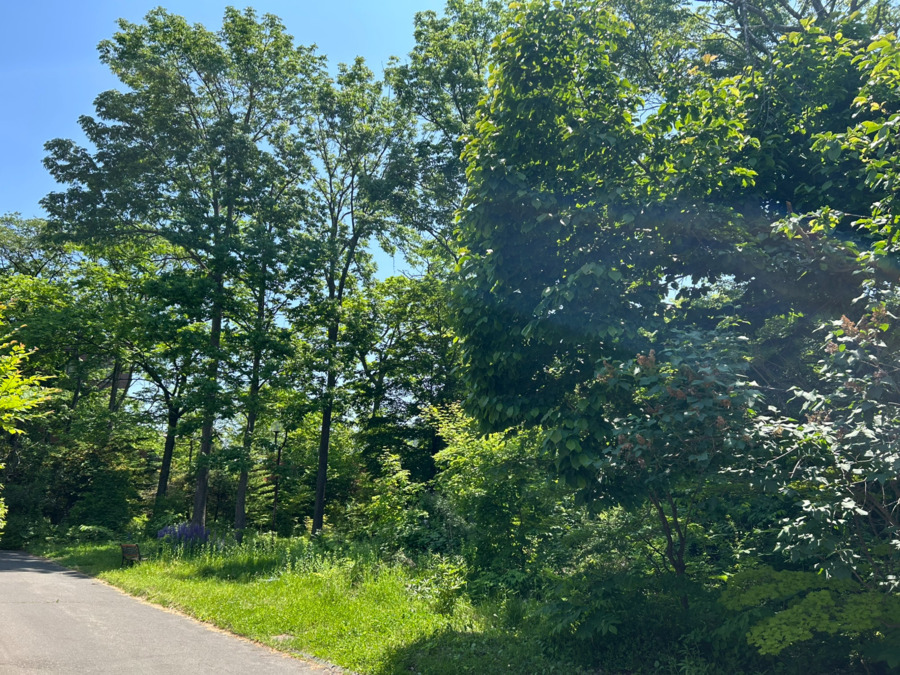 WOOD GARDEN（看護師/准看護師の求人）の写真3枚目：