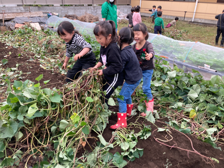 立川かしの木幼稚園（保育士の求人）の写真6枚目：