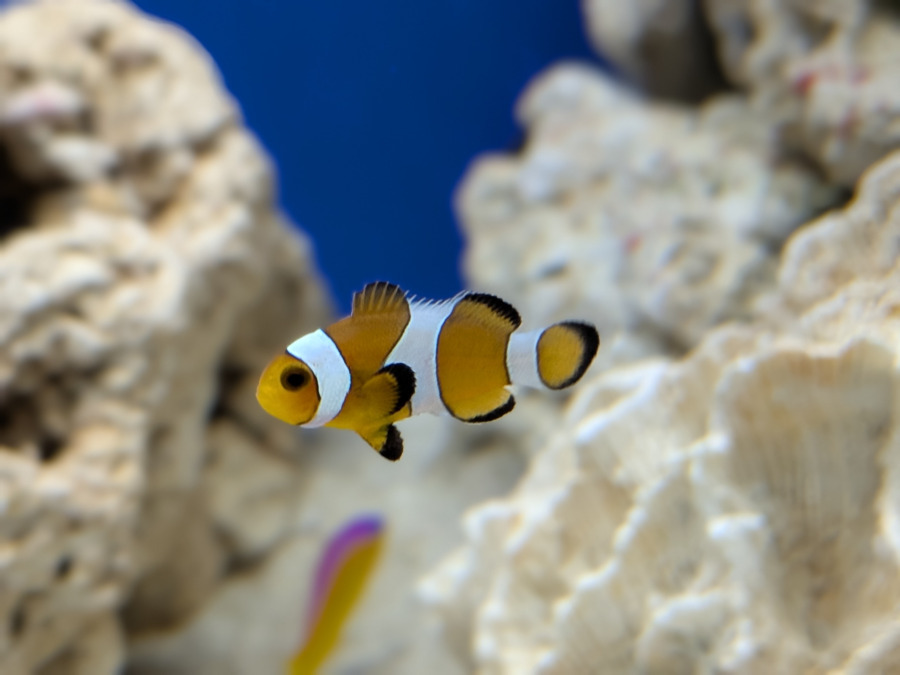 発達こどもアカデミー　青葉台校の写真