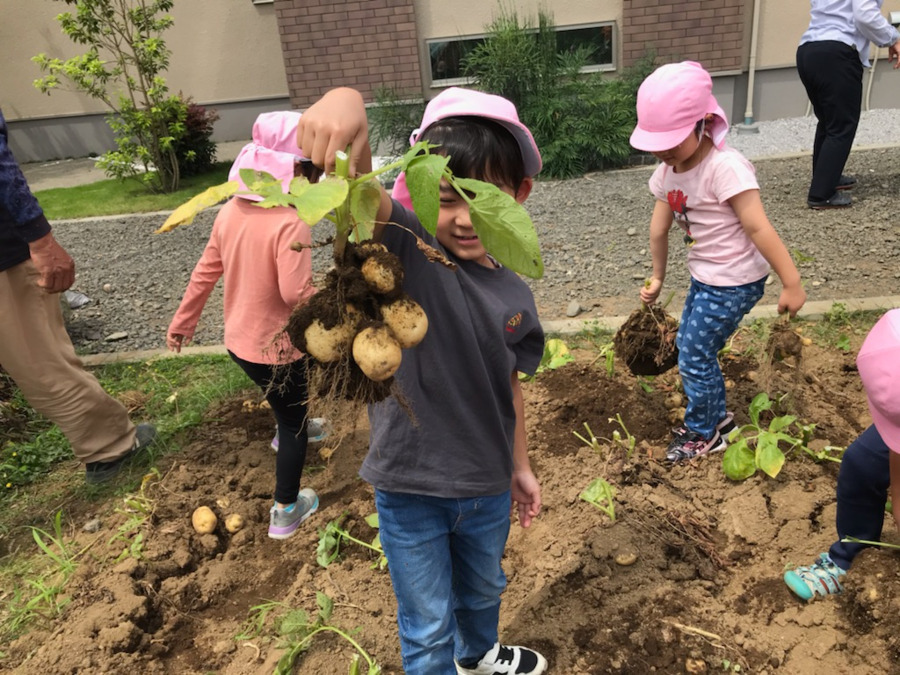 なあな保育園の写真3枚目：