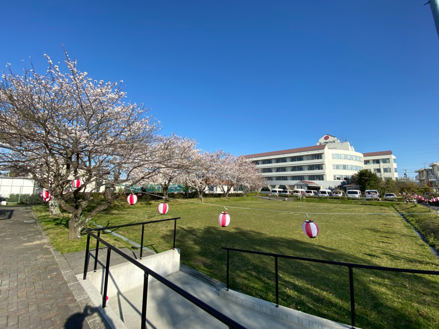 介護老人保健施設エーデルワイス【十全記念病院グループ】（介護職/ヘルパーの求人）の写真2枚目：