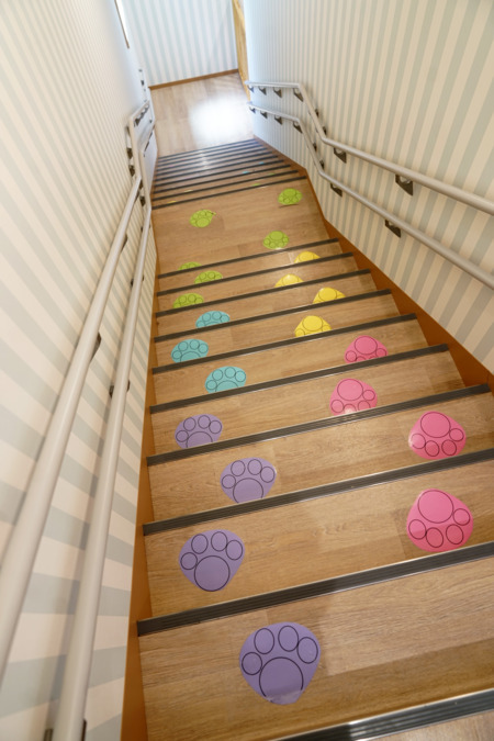 小鳩保育園 美園の写真4枚目：