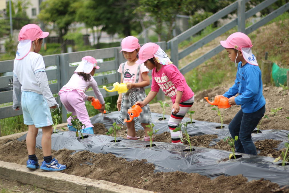 もりの風こども園(管理栄養士/栄養士の求人)の写真2枚目: