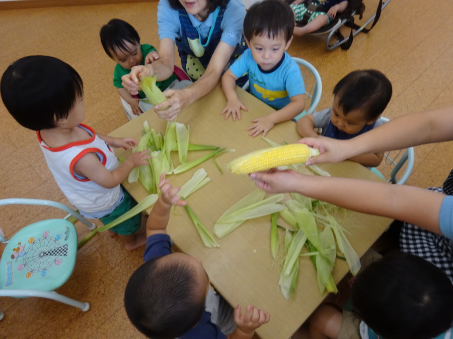 ふぇりーちぇほいくえん　東千葉園（管理栄養士/栄養士の求人）の写真5枚目：