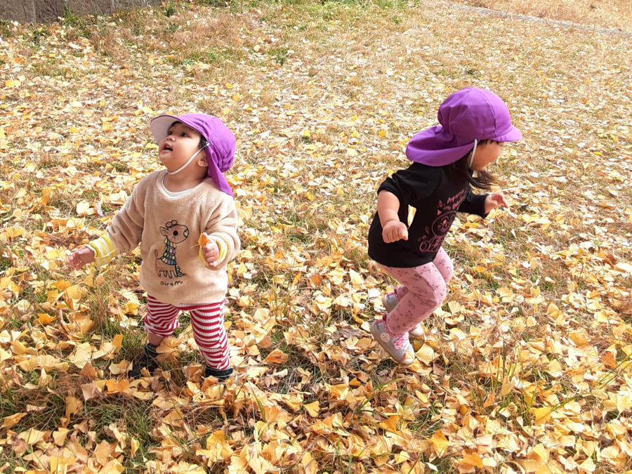 御所見愛児園の写真15枚目: