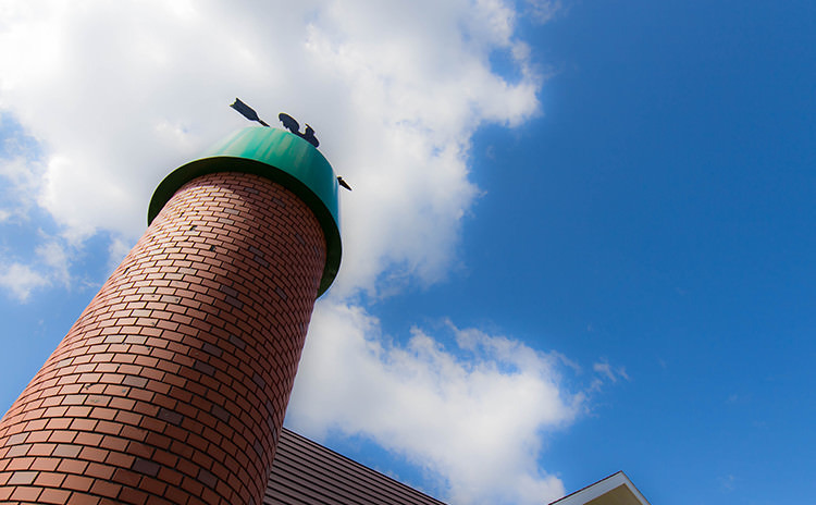 こすもす認定こども園（保育士の求人）の写真2枚目：