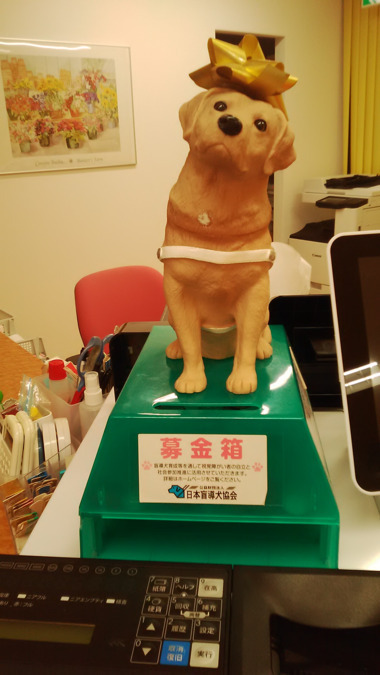 仲町台駅前眼科クリニック（医療事務/受付の求人）の写真5枚目：盲導犬支援の募金しています。