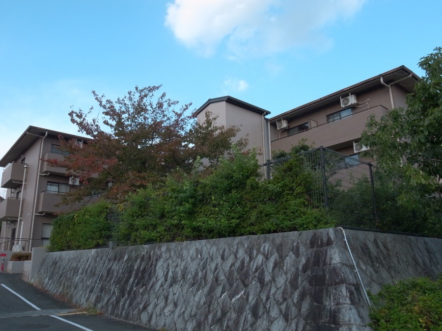 住宅型有料老人ホームトゥインクルあやめ池の写真2枚目：