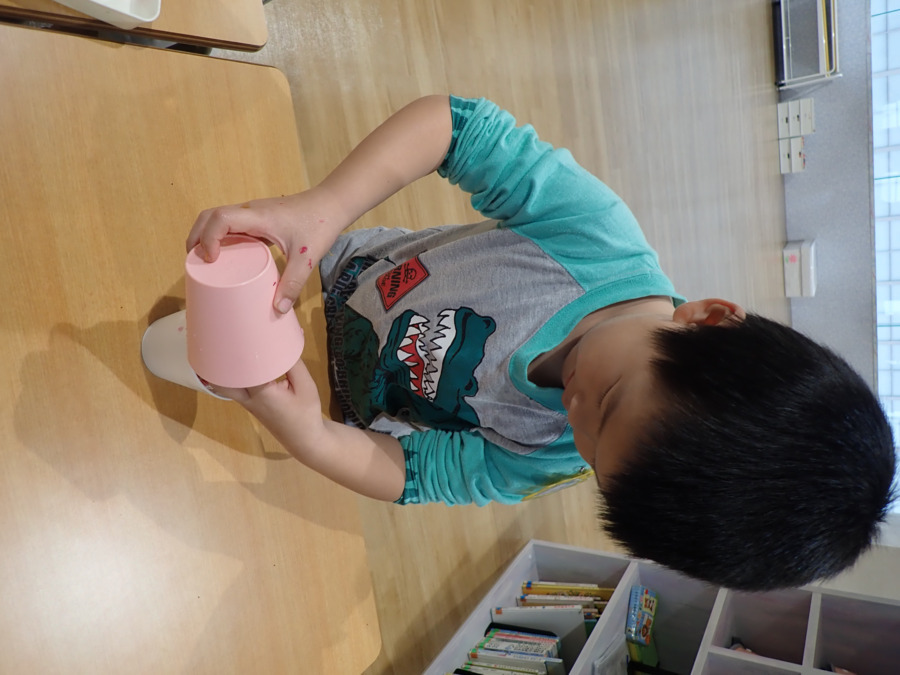 認定こども園岩槻ひかり（保育士の求人）の写真31枚目：