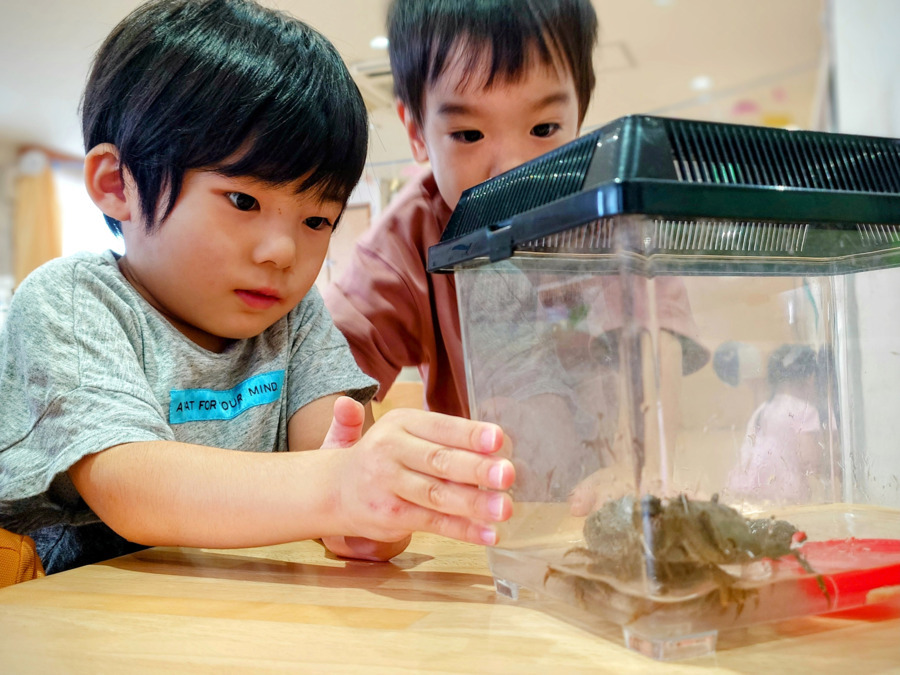 ぽけっとランド南千住瑞光保育園（保育士の求人）の写真5枚目：