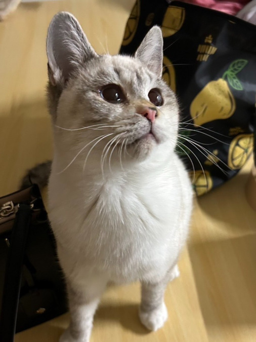 訪問介護とれじゃーまっぷ（生活支援員の求人）の写真5枚目：