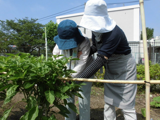 グループホームつどい（介護職/ヘルパーの求人）の写真5枚目：