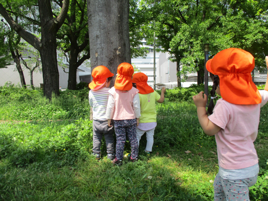 てんとうむし園の写真4枚目：