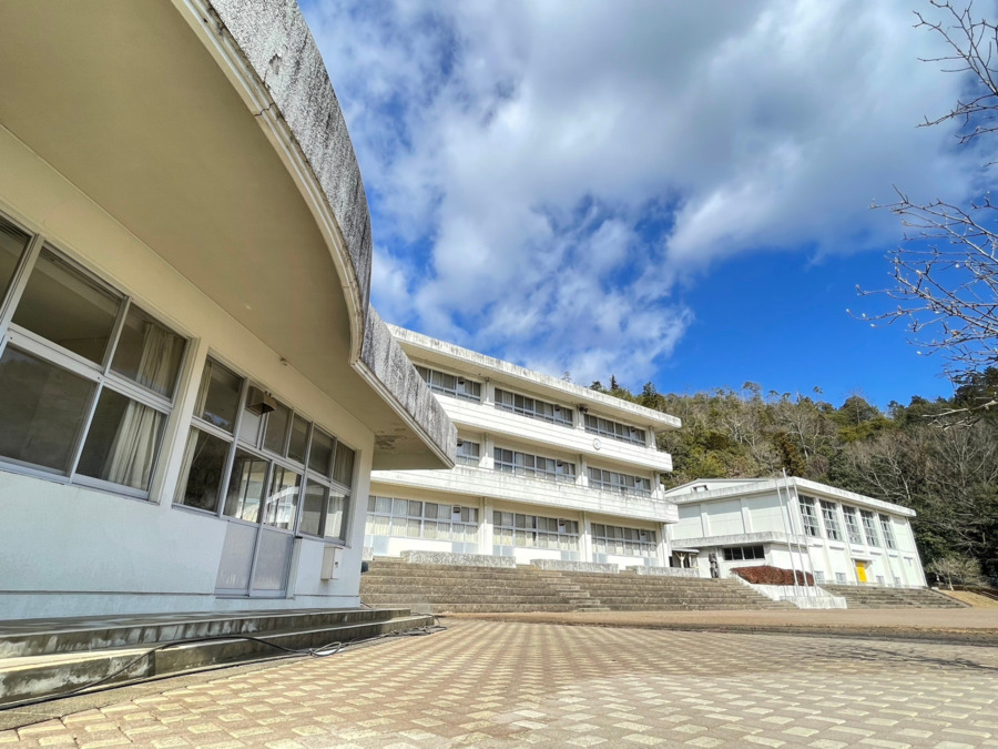 就労継続支援B型桜の写真