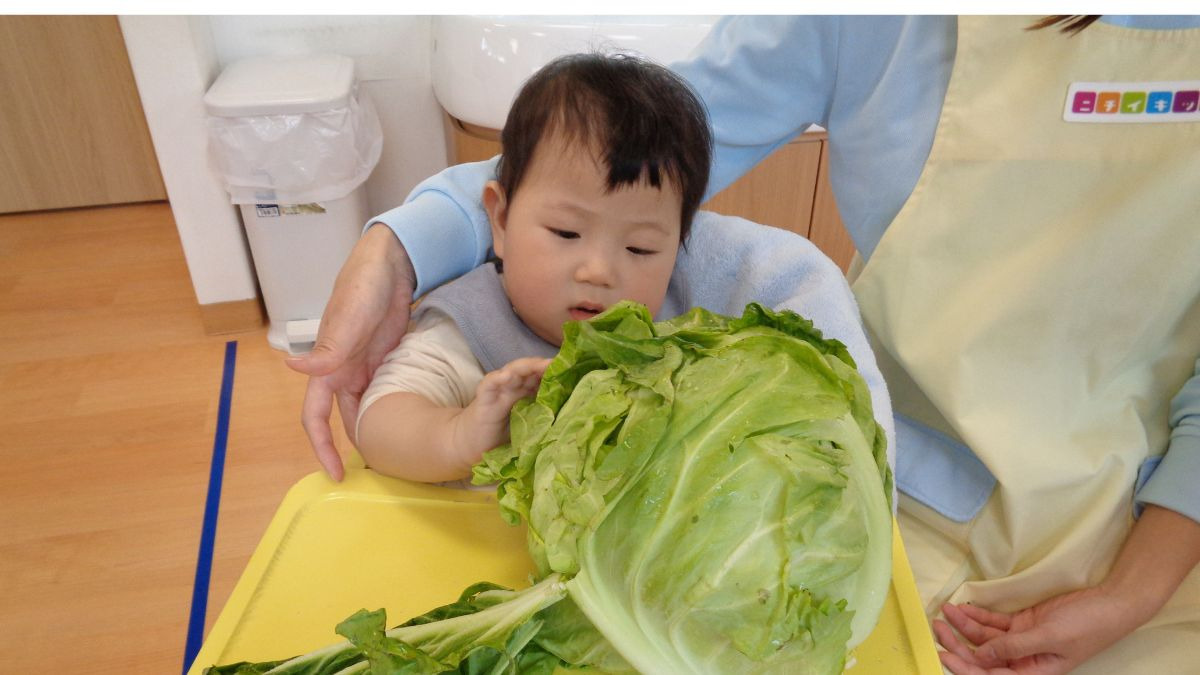 ニチイキッズ芦屋保育園(保育士の求人)の写真3枚目: