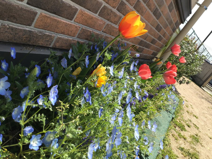 株式会社ポピンズエデュケア 宝塚市 大手企業事業所内保育所(保育士の求人)の写真3枚目: