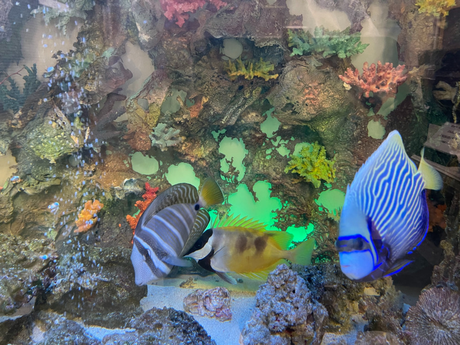 きたこし薬局(薬剤師の求人)の写真4枚目: