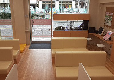 フラワー薬局 溝の口駅前店の写真2枚目：熱帯魚水槽が大人気です