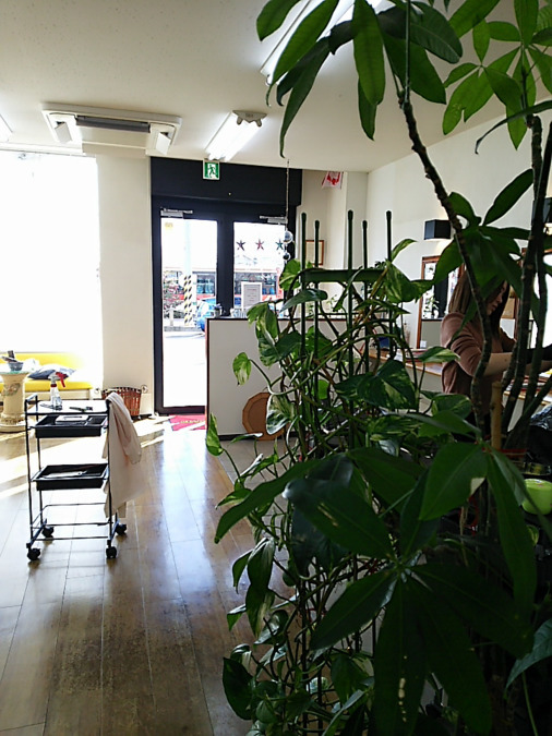 サロンド　メールの写真