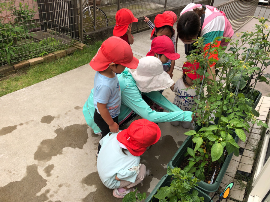 ことのは保育園（保育士の求人）の写真6枚目：