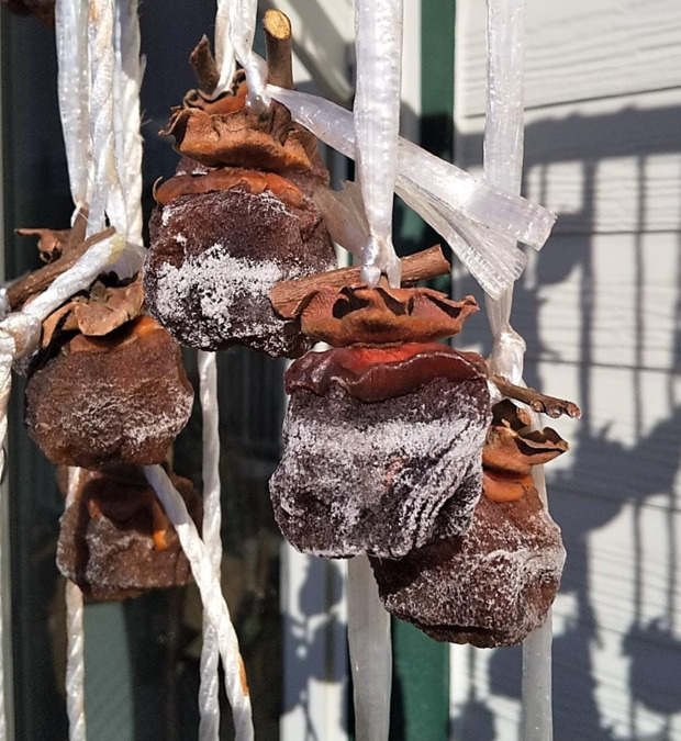 グループホームいずみ(介護職/ヘルパーの求人)の写真8枚目:利用者皆様が紐に結んでくださった渋柿が、見事な干し柿になりました!