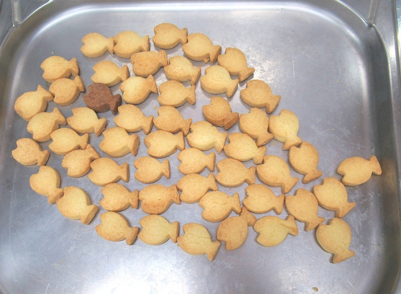 勝どきちとせ保育園(保育士の求人)の写真6枚目: