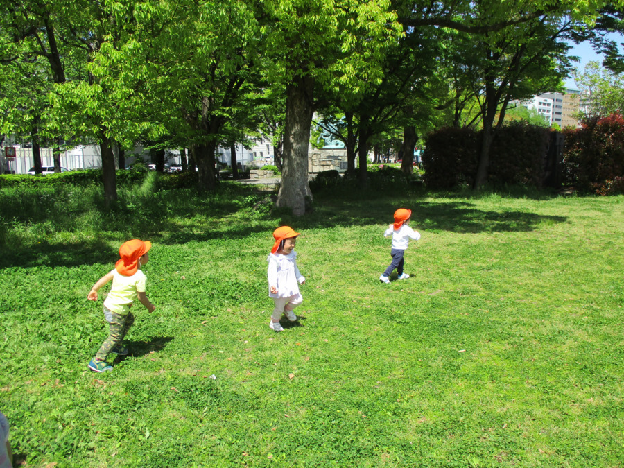 てんとうむし園の写真3枚目：