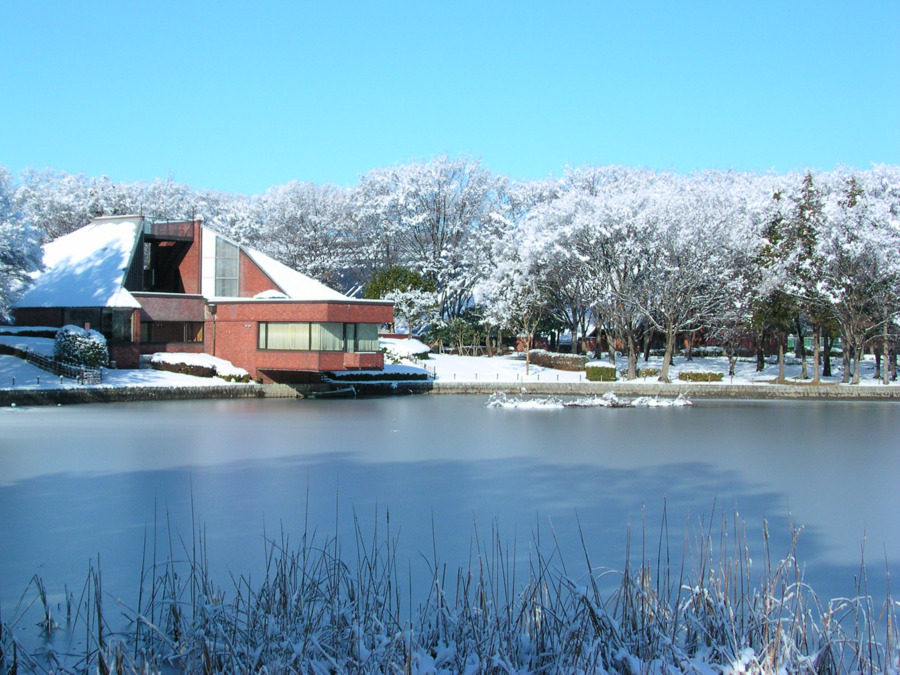 株式会社東京アスレティッククラブ つくば市洞峰公園の写真8枚目：