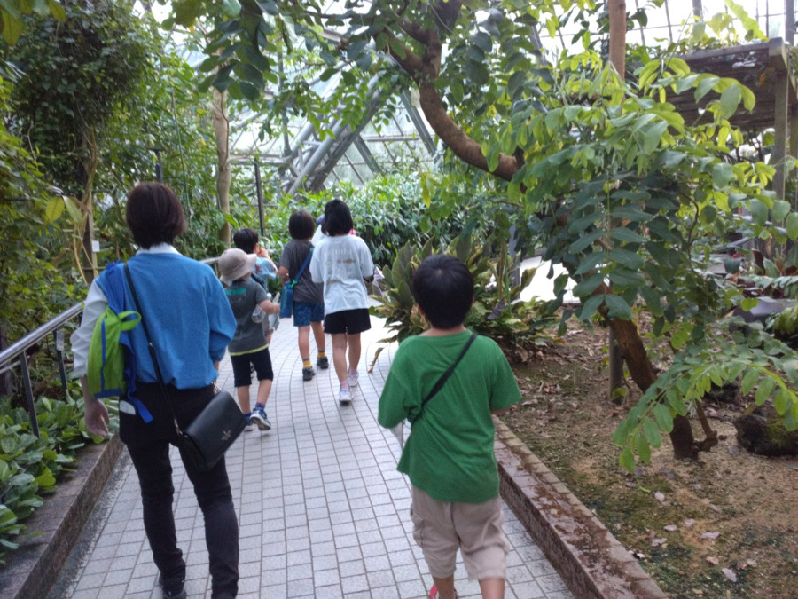 放課後等デイサービス　ドラセナの写真