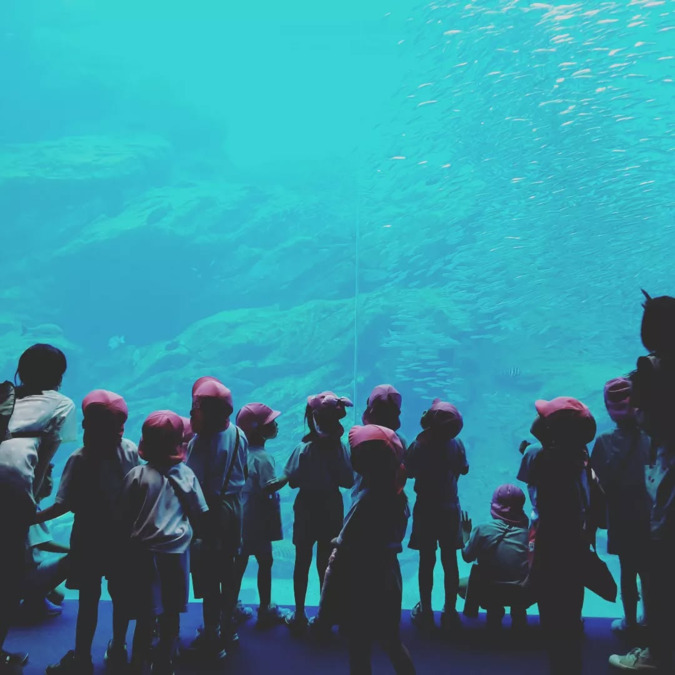 立華認定こども園（保育士の求人）の写真11枚目：