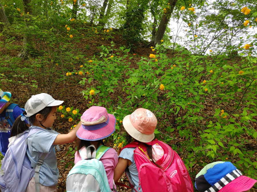 児童発達支援 ありんこみらい(児童発達支援管理責任者の求人)の写真8枚目: