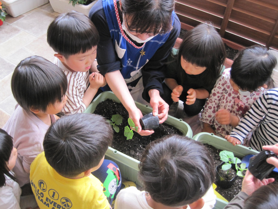 かがやき保育園（保育士の求人）の写真7枚目：