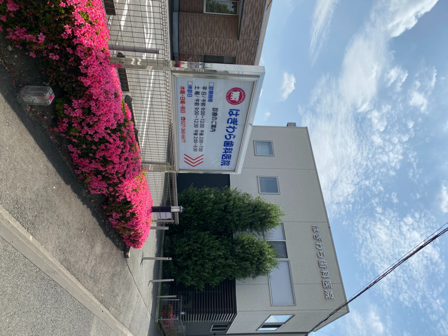 医療法人孝穂会 はぎわら歯科医院(歯科医師の求人)の写真21枚目: