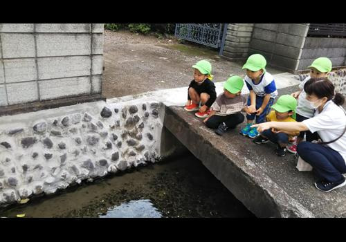ウィズブック保育園中野島の写真5枚目：