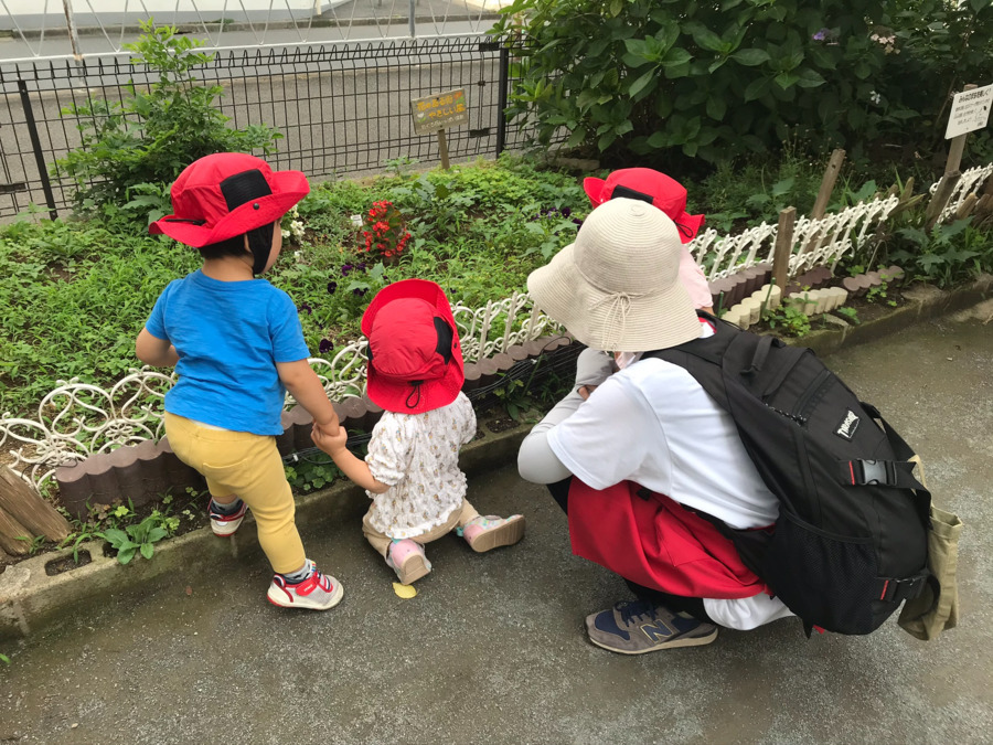 マグハウス都立大学（調理師/調理スタッフの求人）の写真9枚目：きれいなお花み～っけた！