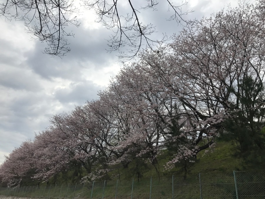 桜坂訪問看護ステーションの写真