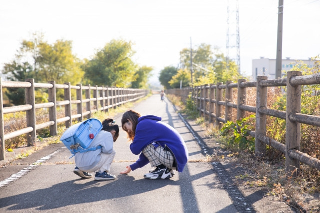 こころの音の写真