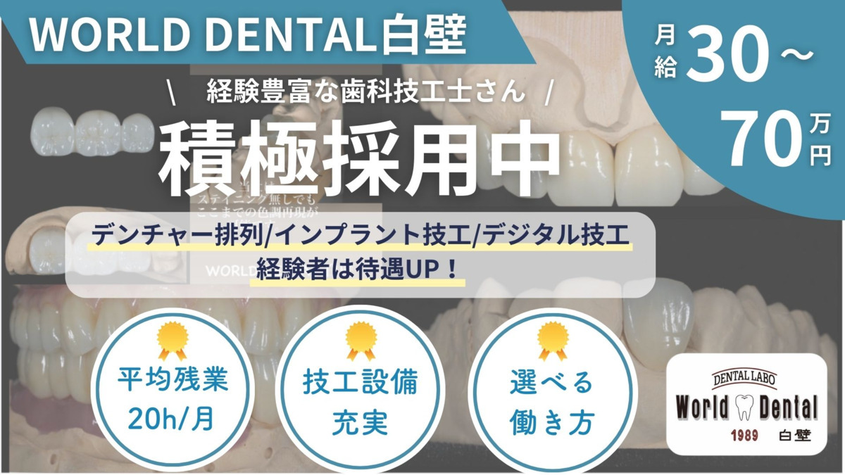 WORLD DENTAL 白壁の写真