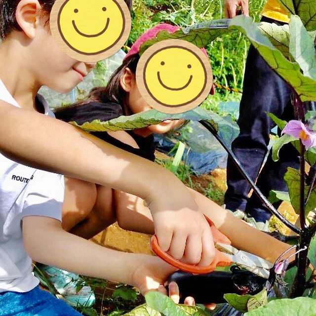 放課後等デイサービス 心音～ころん～（作業療法士の求人）の写真6枚目：