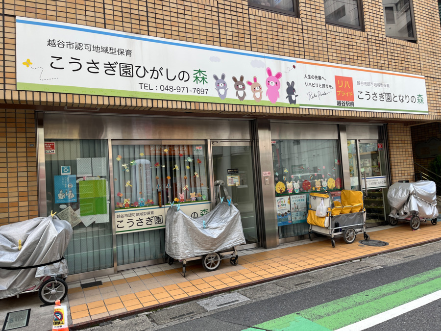 こうさぎ園となりの森の写真3枚目：