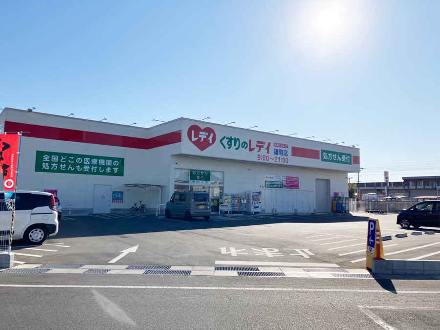 レデイ薬局 雄町店の写真
