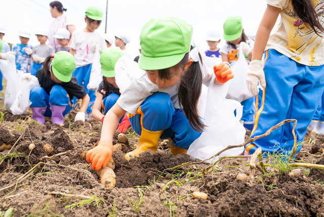 認定こども園吹上幼稚園（幼稚園教諭の求人）の写真2枚目：