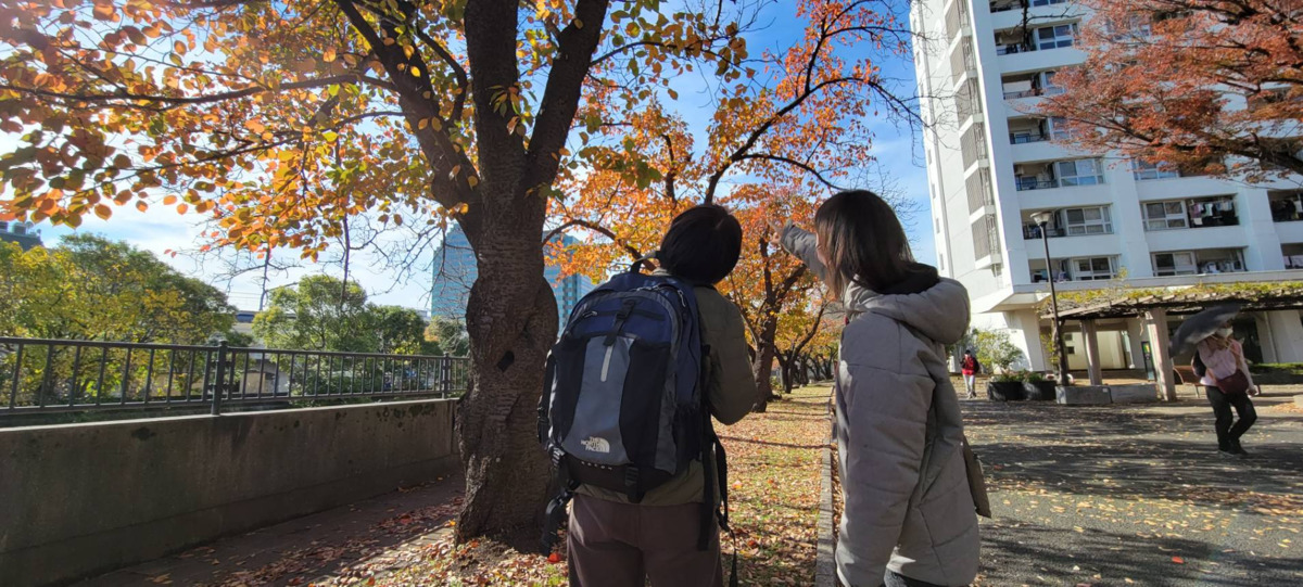 紅雀の和音　訪問介護/障害福祉/移動支援の写真8枚目：移動支援の活動風景です。紅葉を見ながら余暇の外出のサポートをしています！