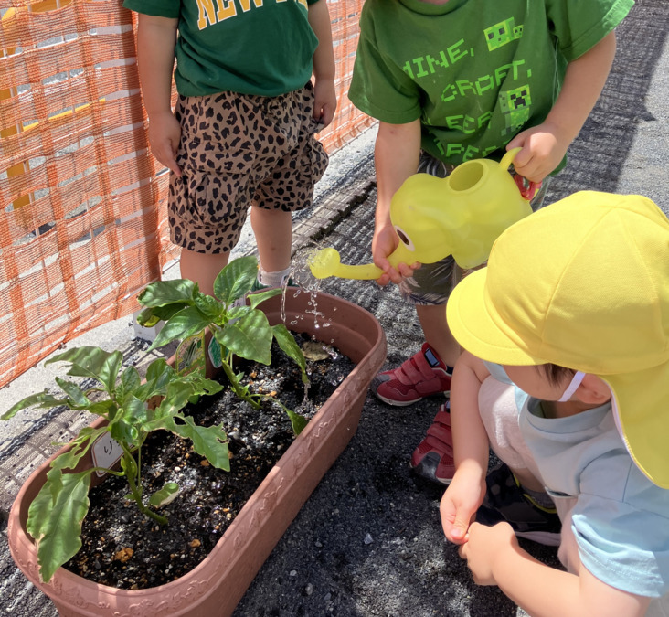 油面ちとせ保育園(保育補助の求人)の写真2枚目: