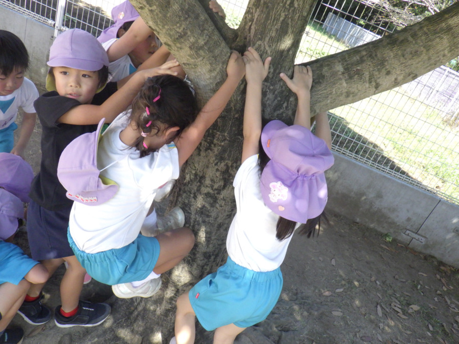 幼保連携型認定こども園 よつば保育園(保育士の求人)の写真2枚目: