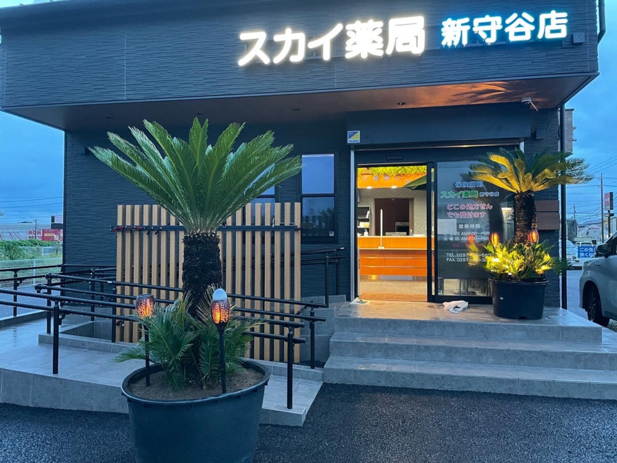 スカイ薬局 新守谷店の写真