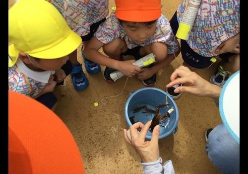 博多ピノキオこども園（調理師/調理スタッフの求人）の写真11枚目：